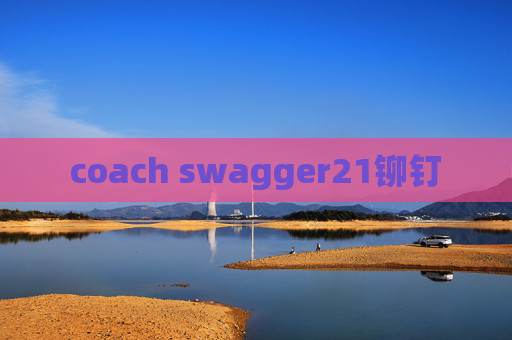 coach swagger21铆钉